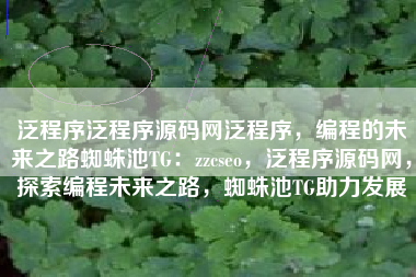 泛程序泛程序源码网泛程序，编程的未来之路蜘蛛池TG：zzcseo，泛程序源码网，探索编程未来之路，蜘蛛池TG助力发展
