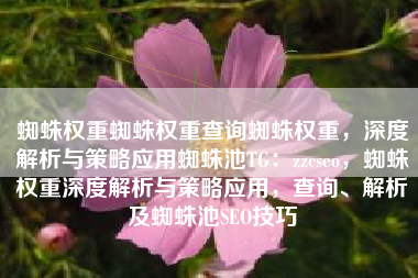 蜘蛛权重蜘蛛权重查询蜘蛛权重，深度解析与策略应用蜘蛛池TG：zzcseo，蜘蛛权重深度解析与策略应用，查询、解析及蜘蛛池SEO技巧