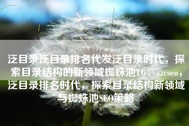 泛目录泛目录排名代发泛目录时代，探索目录结构的新领域蜘蛛池TG：zzcseo，泛目录排名时代，探索目录结构新领域与蜘蛛池SEO策略