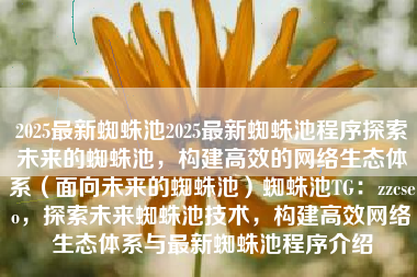 2025最新蜘蛛池2025最新蜘蛛池程序探索未来的蜘蛛池，构建高效的网络生态体系（面向未来的蜘蛛池）蜘蛛池TG：zzcseo，探索未来蜘蛛池技术，构建高效网络生态体系与最新蜘蛛池程序介绍