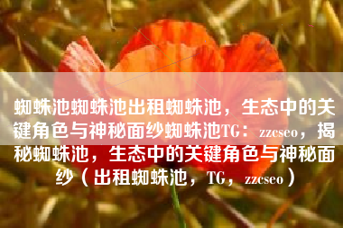 蜘蛛池蜘蛛池出租蜘蛛池，生态中的关键角色与神秘面纱蜘蛛池TG：zzcseo，揭秘蜘蛛池，生态中的关键角色与神秘面纱（出租蜘蛛池，TG，zzcseo）