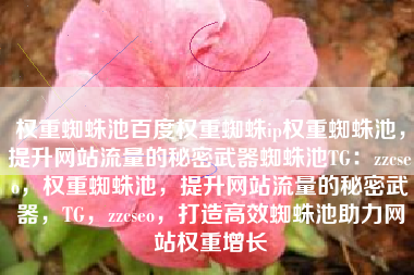 权重蜘蛛池百度权重蜘蛛ip权重蜘蛛池，提升网站流量的秘密武器蜘蛛池TG：zzcseo，权重蜘蛛池，提升网站流量的秘密武器，TG，zzcseo，打造高效蜘蛛池助力网站权重增长