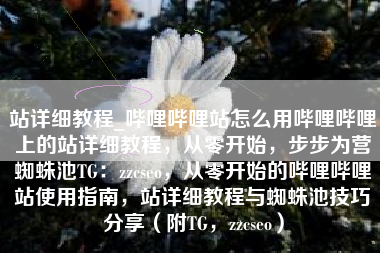 站详细教程_哔哩哔哩站怎么用哔哩哔哩上的站详细教程，从零开始，步步为营蜘蛛池TG：zzcseo，从零开始的哔哩哔哩站使用指南，站详细教程与蜘蛛池技巧分享（附TG，zzcseo）