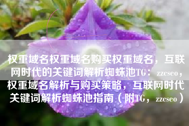 权重域名权重域名购买权重域名，互联网时代的关键词解析蜘蛛池TG：zzcseo，权重域名解析与购买策略，互联网时代关键词解析蜘蛛池指南（附TG，zzcseo）
