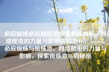必应蜘蛛必应蜘蛛池探索必应蜘蛛，网络爬虫的力量与影响蜘蛛池TG：zzcseo，必应蜘蛛与蜘蛛池，网络爬虫的力量与影响，探索蜘蛛池TG的秘密