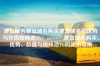 便宜域名便宜域名购买便宜域名的优势与价值蜘蛛池TG：zzcseo，便宜域名购买，优势、价值与蜘蛛池TG的使用指南