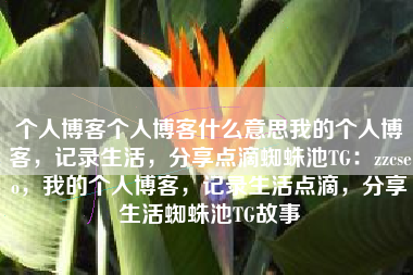 个人博客个人博客什么意思我的个人博客，记录生活，分享点滴蜘蛛池TG：zzcseo，我的个人博客，记录生活点滴，分享生活蜘蛛池TG故事