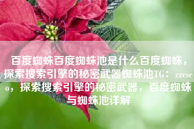 百度蜘蛛百度蜘蛛池是什么百度蜘蛛，探索搜索引擎的秘密武器蜘蛛池TG：zzcseo，探索搜索引擎的秘密武器，百度蜘蛛与蜘蛛池详解