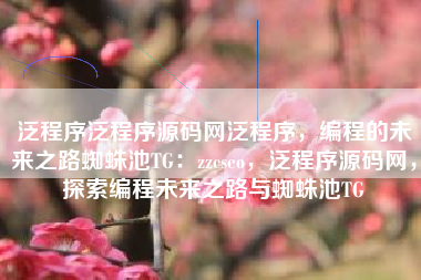泛程序泛程序源码网泛程序，编程的未来之路蜘蛛池TG：zzcseo，泛程序源码网，探索编程未来之路与蜘蛛池TG