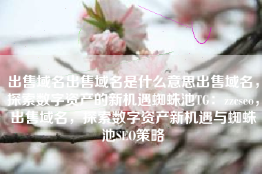 出售域名出售域名是什么意思出售域名，探索数字资产的新机遇蜘蛛池TG：zzcseo，出售域名，探索数字资产新机遇与蜘蛛池SEO策略
