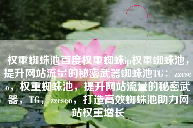 权重蜘蛛池百度权重蜘蛛ip权重蜘蛛池，提升网站流量的秘密武器蜘蛛池TG：zzcseo，权重蜘蛛池，提升网站流量的秘密武器，TG，zzcseo，打造高效蜘蛛池助力网站权重增长
