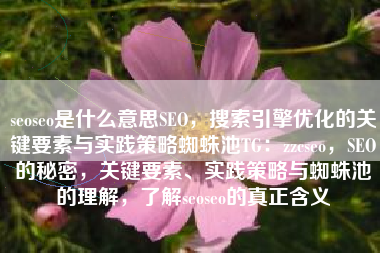 seoseo是什么意思SEO，搜索引擎优化的关键要素与实践策略蜘蛛池TG：zzcseo，SEO的秘密，关键要素、实践策略与蜘蛛池的理解，了解seoseo的真正含义