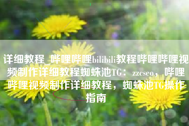 详细教程_哔哩哔哩bilibili教程哔哩哔哩视频制作详细教程蜘蛛池TG：zzcseo，哔哩哔哩视频制作详细教程，蜘蛛池TG操作指南