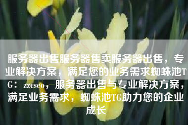 服务器出售服务器售卖服务器出售，专业解决方案，满足您的业务需求蜘蛛池TG：zzcseo，服务器出售与专业解决方案，满足业务需求，蜘蛛池TG助力您的企业成长