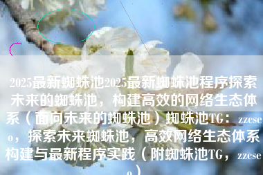 2025最新蜘蛛池2025最新蜘蛛池程序探索未来的蜘蛛池，构建高效的网络生态体系（面向未来的蜘蛛池）蜘蛛池TG：zzcseo，探索未来蜘蛛池，高效网络生态体系构建与最新程序实践（附蜘蛛池TG，zzcseo）