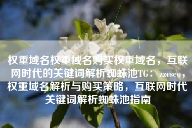 权重域名权重域名购买权重域名，互联网时代的关键词解析蜘蛛池TG：zzcseo，权重域名解析与购买策略，互联网时代关键词解析蜘蛛池指南