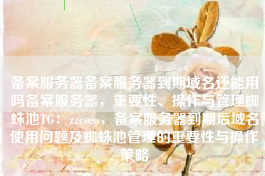 备案服务器备案服务器到期域名还能用吗备案服务器，重要性、操作与管理蜘蛛池TG：zzcseo，备案服务器到期后域名使用问题及蜘蛛池管理的重要性与操作策略