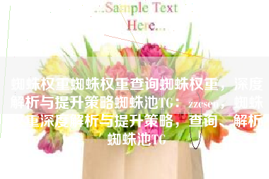 蜘蛛权重蜘蛛权重查询蜘蛛权重，深度解析与提升策略蜘蛛池TG：zzcseo，蜘蛛权重深度解析与提升策略，查询、解析蜘蛛池TG