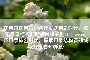 泛目录泛目录排名代发泛目录时代，探索目录结构的新领域蜘蛛池TG：zzcseo，泛目录排名时代，探索目录结构新领域与蜘蛛池SEO策略