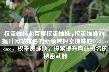 权重蜘蛛池百度权重蜘蛛ip权重蜘蛛池，提升网站排名的新领域探索蜘蛛池TG：zzcseo，权重蜘蛛池，探索提升网站排名的秘密武器