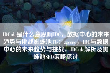 IDCidc是什么意思啊IDC，数据中心的未来趋势与挑战蜘蛛池TG：zzcseo，IDC与数据中心的未来趋势与挑战，IDCidc解析及蜘蛛池SEO策略探讨