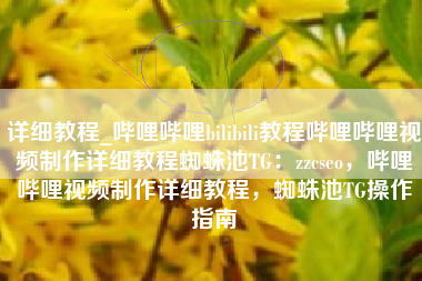 详细教程_哔哩哔哩bilibili教程哔哩哔哩视频制作详细教程蜘蛛池TG：zzcseo，哔哩哔哩视频制作详细教程，蜘蛛池TG操作指南