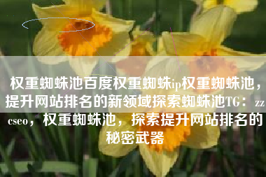 权重蜘蛛池百度权重蜘蛛ip权重蜘蛛池，提升网站排名的新领域探索蜘蛛池TG：zzcseo，权重蜘蛛池，探索提升网站排名的秘密武器