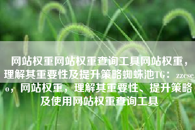 网站权重网站权重查询工具网站权重，理解其重要性及提升策略蜘蛛池TG：zzcseo，网站权重，理解其重要性、提升策略及使用网站权重查询工具