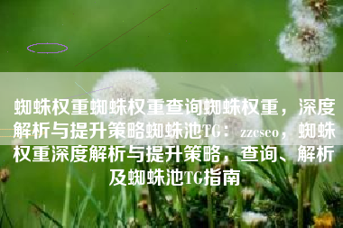 蜘蛛权重蜘蛛权重查询蜘蛛权重，深度解析与提升策略蜘蛛池TG：zzcseo，蜘蛛权重深度解析与提升策略，查询、解析及蜘蛛池TG指南