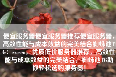 便宜服务器便宜服务器推荐便宜服务器，高效性能与成本效益的完美结合蜘蛛池TG：zzcseo，优质低价服务器推荐，高效性能与成本效益的完美结合，蜘蛛池TG助你轻松选购服务器！
