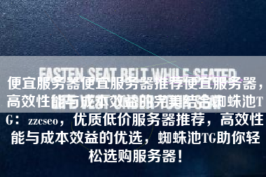 便宜服务器便宜服务器推荐便宜服务器，高效性能与成本效益的完美结合蜘蛛池TG：zzcseo，优质低价服务器推荐，高效性能与成本效益的优选，蜘蛛池TG助你轻松选购服务器！