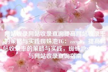 网站收录网站收录查询提高网站收录率的策略与实践蜘蛛池TG：zzcseo，提高网站收录率的策略与实践，蜘蛛池SEO技巧与网站收录查询指南