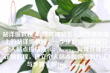 站详细教程_哔哩哔哩站怎么用哔哩哔哩上的站详细教程，一步步教你如何建立个人站点蜘蛛池TG：zzcseo，哔哩哔哩站详细教程，建立个人站点蜘蛛池的方法与步骤（附TG，zzcseo）