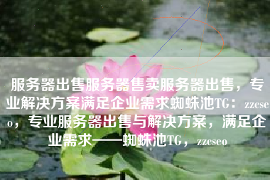 服务器出售服务器售卖服务器出售，专业解决方案满足企业需求蜘蛛池TG：zzcseo，专业服务器出售与解决方案，满足企业需求——蜘蛛池TG，zzcseo