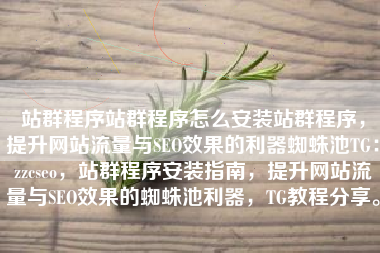 站群程序站群程序怎么安装站群程序，提升网站流量与SEO效果的利器蜘蛛池TG：zzcseo，站群程序安装指南，提升网站流量与SEO效果的蜘蛛池利器，TG教程分享。