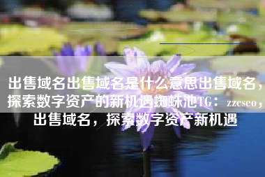 出售域名出售域名是什么意思出售域名，探索数字资产的新机遇蜘蛛池TG：zzcseo，出售域名，探索数字资产新机遇