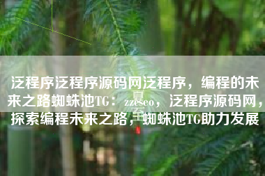 泛程序泛程序源码网泛程序，编程的未来之路蜘蛛池TG：zzcseo，泛程序源码网，探索编程未来之路，蜘蛛池TG助力发展