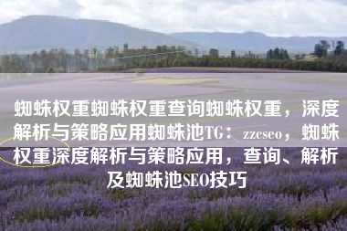 蜘蛛权重蜘蛛权重查询蜘蛛权重，深度解析与策略应用蜘蛛池TG：zzcseo，蜘蛛权重深度解析与策略应用，查询、解析及蜘蛛池SEO技巧