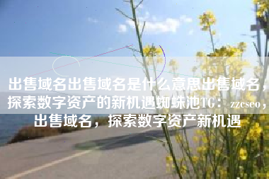 出售域名出售域名是什么意思出售域名，探索数字资产的新机遇蜘蛛池TG：zzcseo，出售域名，探索数字资产新机遇
