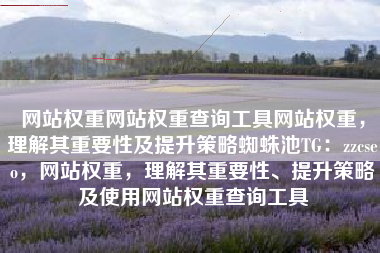 网站权重网站权重查询工具网站权重，理解其重要性及提升策略蜘蛛池TG：zzcseo，网站权重，理解其重要性、提升策略及使用网站权重查询工具
