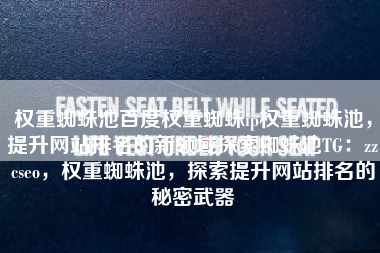 权重蜘蛛池百度权重蜘蛛ip权重蜘蛛池，提升网站排名的新领域探索蜘蛛池TG：zzcseo，权重蜘蛛池，探索提升网站排名的秘密武器