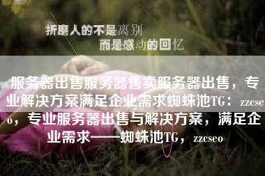 服务器出售服务器售卖服务器出售，专业解决方案满足企业需求蜘蛛池TG：zzcseo，专业服务器出售与解决方案，满足企业需求——蜘蛛池TG，zzcseo