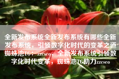 全新发布系统全新发布系统有哪些全新发布系统，引领数字化时代的变革之道蜘蛛池TG：zzcseo，全新发布系统引领数字化时代变革，蜘蛛池TG助力zzcseo