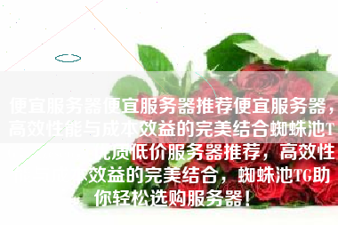 便宜服务器便宜服务器推荐便宜服务器，高效性能与成本效益的完美结合蜘蛛池TG：zzcseo，优质低价服务器推荐，高效性能与成本效益的完美结合，蜘蛛池TG助你轻松选购服务器！