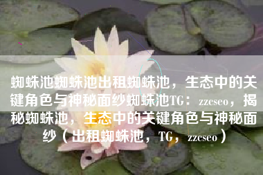 蜘蛛池蜘蛛池出租蜘蛛池，生态中的关键角色与神秘面纱蜘蛛池TG：zzcseo，揭秘蜘蛛池，生态中的关键角色与神秘面纱（出租蜘蛛池，TG，zzcseo）