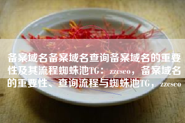 备案域名备案域名查询备案域名的重要性及其流程蜘蛛池TG：zzcseo，备案域名的重要性、查询流程与蜘蛛池TG，zzcseo