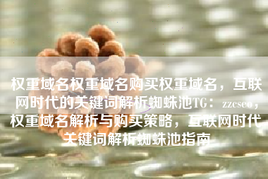 权重域名权重域名购买权重域名，互联网时代的关键词解析蜘蛛池TG：zzcseo，权重域名解析与购买策略，互联网时代关键词解析蜘蛛池指南