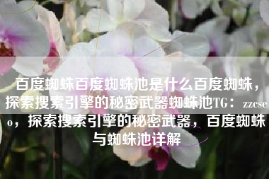 百度蜘蛛百度蜘蛛池是什么百度蜘蛛，探索搜索引擎的秘密武器蜘蛛池TG：zzcseo，探索搜索引擎的秘密武器，百度蜘蛛与蜘蛛池详解