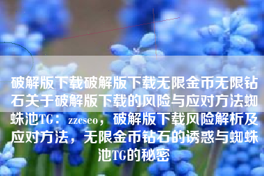 破解版下载破解版下载无限金币无限钻石关于破解版下载的风险与应对方法蜘蛛池TG：zzcseo，破解版下载风险解析及应对方法，无限金币钻石的诱惑与蜘蛛池TG的秘密