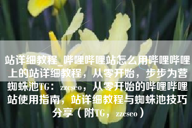 站详细教程_哔哩哔哩站怎么用哔哩哔哩上的站详细教程，从零开始，步步为营蜘蛛池TG：zzcseo，从零开始的哔哩哔哩站使用指南，站详细教程与蜘蛛池技巧分享（附TG，zzcseo）